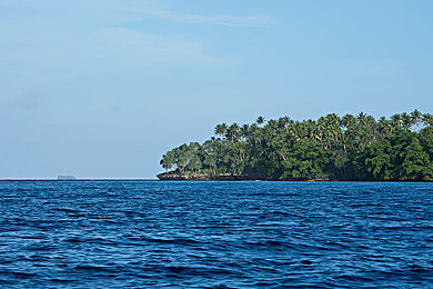 99re6这里只有精品：在墨西哥的开放道路上，打造你的终极梦想车库