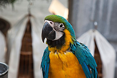 男女打炮应用：星际策略射击新作上线，双驾驶员协同系统颠覆传统太空对战-2