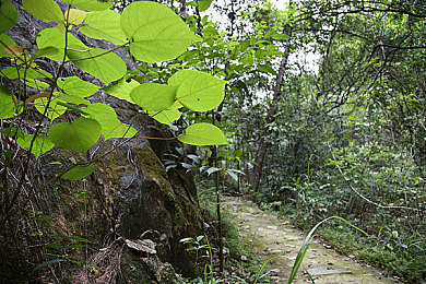 黑色dd4安装包男男：暗夜驱动，双人协作，硬核改装竞速新体验-3
