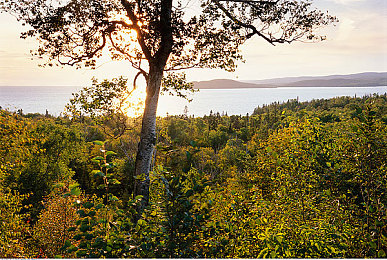 十款app禁止app安装软件下载入口：汽车游戏新规上线，第三方改装软件遭全面封禁-3