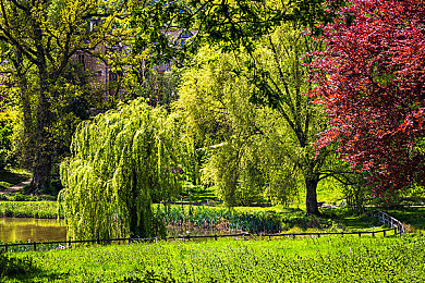 黄色软件安卓下载3,3.+0:霓虹雨夜中的速度法典,移动端硬核驾驶模拟新纪元-2