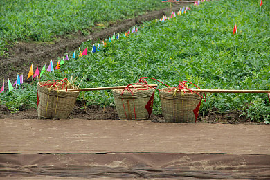 打扑克又叫又：卡牌策略与赛车竞速，脑力与速度的极致碰撞