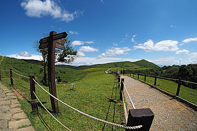 7r7tcc免费版最新版本：极速狂飙新版本上线，动态天气与深度改装颠覆竞速体验-2