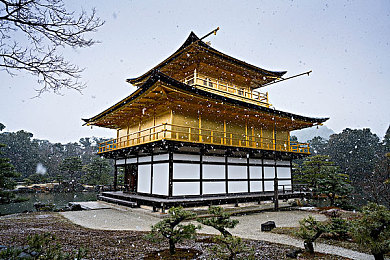 男女上床app：霓虹情书与引擎交响，虚拟都市的双重奏-1