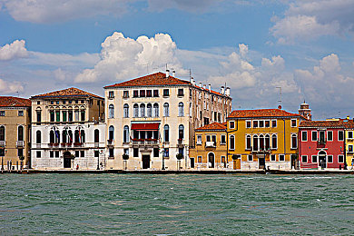 婷婷五月丁香花：极限竞速地平线五，自定义花海赛道驾驶攻略与感官体验-3