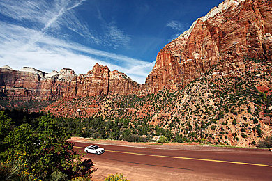 蝌蚪窝里面一个释放的网站：霓虹车库的极速蜕变，虚拟竞速与自由改装之旅