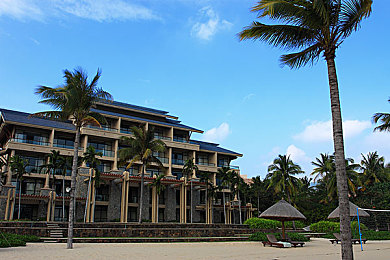 爱情岛论坛 成人AV:夜幕轰鸣,街头王座的非法引擎交响诗-2