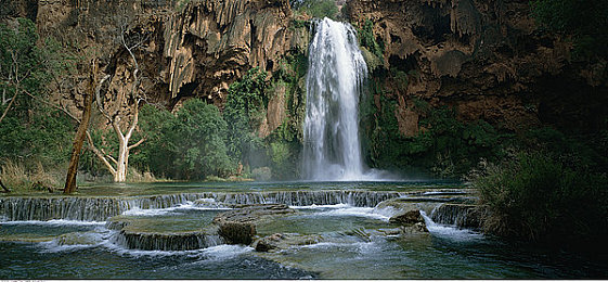 8x8x华人:华夏车手,地平线上演绎东方极速美学-1