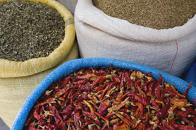 黄色软件app3.0.3免费oppo版大全装扮2023免费：2023街头涂装师全新免费版上线，海量改装攻略揭秘-2