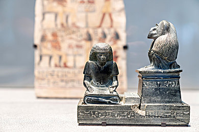 火影h版：疾风赛道今日开启，忍者竞速奥义全解析，你的忍车已就位