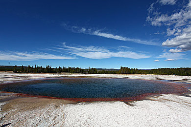 网站你应该知道我说的意思吧：街头赛车艺术革命，涂鸦与速度的视觉交响-2
