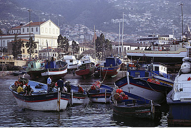 w973cc官方版下载室：极速纪元车库传说，专业改装与赛道称霸全攻略-2