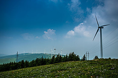 2023黄色软件下载：硬核竞速新作登场，数字化调校界面引领真实驾驶革命-2