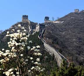 黄三色是哪三色颜色组成的：极速调色师，用色彩混合开启竞速新赛道