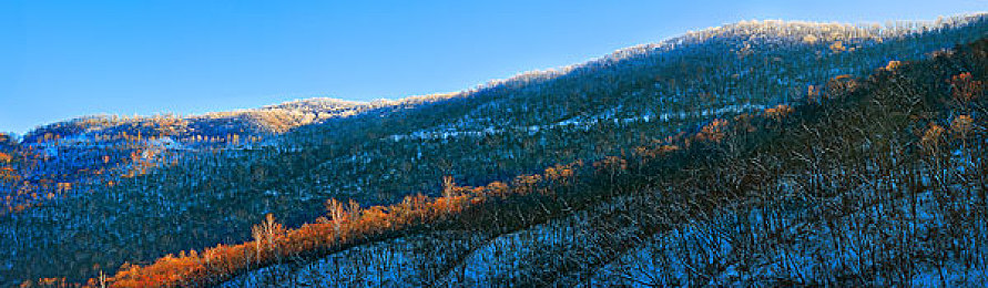 国产乱伦影视：极速血脉，家族暗涌，都市竞速风云录