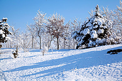 黄游下载3.0.3免费oppo版大全：未来都市极速对决，深度试玩全新科幻竞赛车作-3