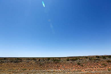 蜜桃成人社区:霓虹都市的终极竞速,车手社群的荣耀征程-2