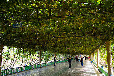 张婉莹的暑假作业：虚拟试驾场，墨西哥的汽车工程笔记-3