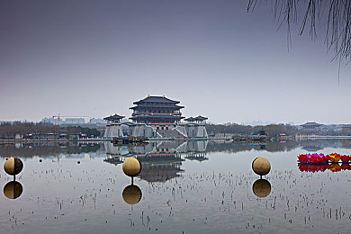 两人www：双人竞速新境界，极致默契与极速狂飙的终极体验