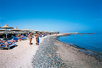 罗宾帮助乔巴去除毒素：动漫改编新突破，双角色策略驾驶引爆今夏竞速热潮-2