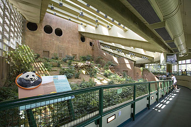 82板杨敏思版本：独立团队推出复古赛车DLC，以虚拟改装重塑八十年代街机狂潮-2