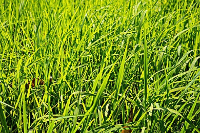 国精产品一：极速都市传奇之路，沉浸驾驶体验，挑战赛道王者