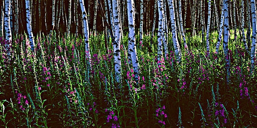 老板不让穿乳罩随时揉l：职场荒诞生存指南，用智慧博弈权力-2