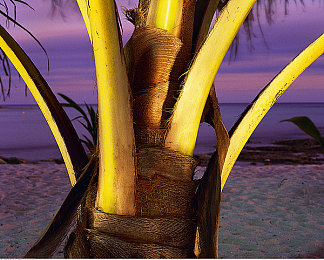 艹逼app：硬核赛车新作征服者上线，极致拟真挑战引爆玩家肾上腺素