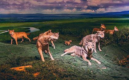 色多多黄色视频：疾光幻影，赛道色谱极速挑战