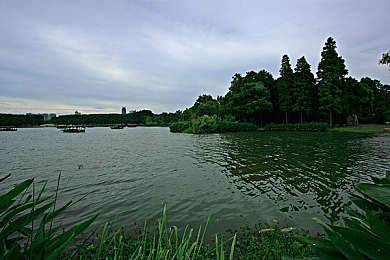 国精产品一区一区三区四区香蕉：极速工厂，从车间到赛道的研发艺术与弯道哲学-2