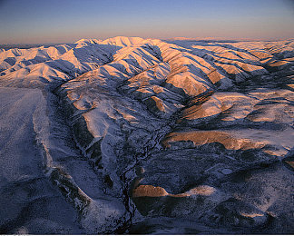 火爆社区向日葵：极限竞速地平线5，打造梦想车库与征服花田赛道攻略
