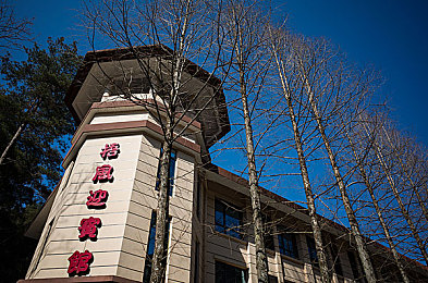 7277.tv艳女直播：霓虹狂飙直播追击，揭秘未来都市竞速阴谋