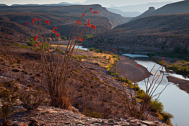 波斯女人1977满天星：穿越时空的驾驶传奇，复古未来竞速之旅-2