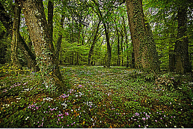 暗网软件搞黄：《极速暗影》今日上线，赛车与黑客的灰色对决引爆赛博赛道