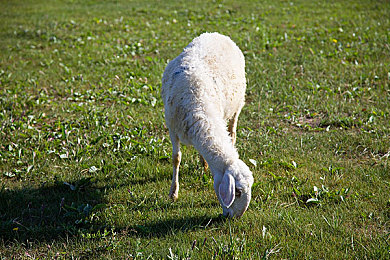 one一个成年的世界一个就够老杀版本：在抉择的余烬中重塑生存的镜像-2