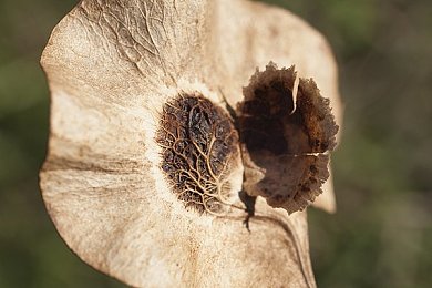被操逼软件：驾驭漏洞代码，在虚拟都市中挑战极限驾驶调试