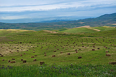 男生女生一起修修修轮滑鞋免费下载漫画：轮滑改装与像素竞速，解锁青春漫画剧情新体验-1