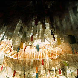 亚洲爱情岛论坛自拍品质：极速幻境，虚拟赛道与视觉美学的双重竞逐之旅-1