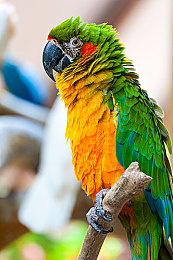 男女差差差差差软件：硬核赛车新作发布，生理数据驱动调校系统颠覆驾驶体验