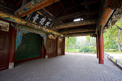 国精产品一区一：极速领域引领国产竞速新风尚，限定赛车点燃玩家收藏热情-2