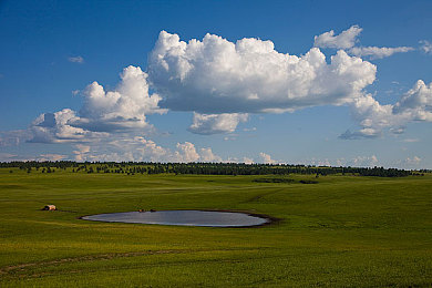 《女超人》melody：超级英雄竞速新作今日上线，能力与座驾融合引爆驾驶革命-2