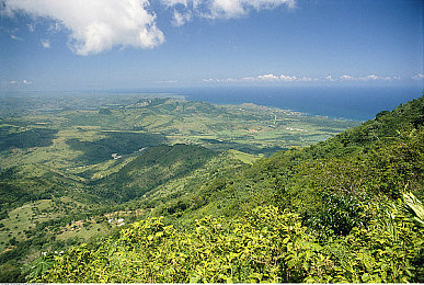 干逼APP：齿轮与代码，赛道狂想曲