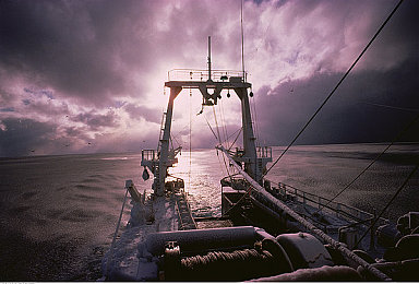 火辣辣导航站：驾驭地平线，墨西哥极速之旅全攻略-3