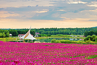 男生和女生一起磋磋磋：极速共鸣，双人节奏驾驶，体验完美协作竞速之旅-1