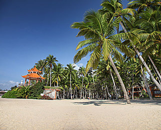 国内福利视频导航：极速解锁视觉盛宴，街头狂飙与文化探索完美融合-3