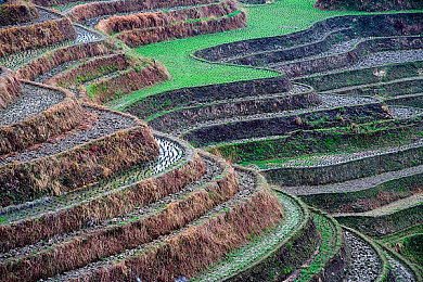 火影+18：疾风赛道，查克拉驱动的终极竞速对决