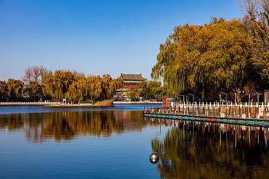 303免费oppo版破解大全免费下载在线观看：OPPO平台极速狂飙都市风云实测，流畅画质与专业攻略全解析