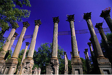 亭亭玉立国色天香综合：霓虹绘卷，古典赛道上的视觉诗篇