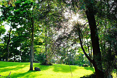 3.0.3免费OPPO版大全：极速狂飙，专属赛道，移动竞速新境界