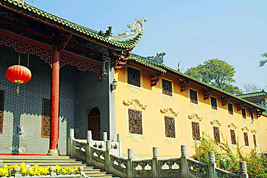 姓裸交：墨西哥画卷，地平线驰骋，文化与竞速的交融之旅